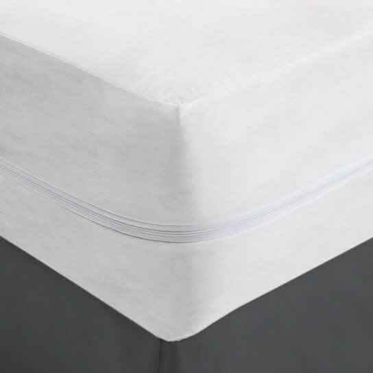 Fabric Zippered Waterproof and Bed Bug Mattress Protector DailySale