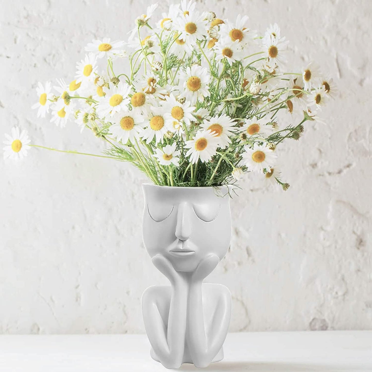 Face Flower Pot Head Planter DailySale