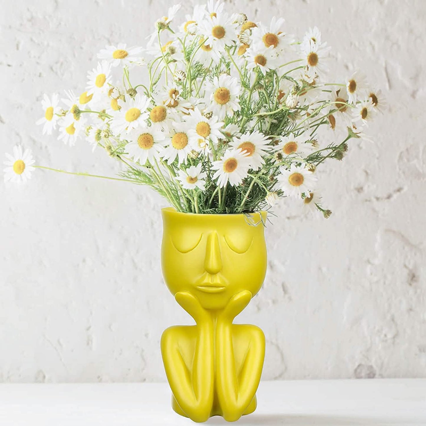 Face Flower Pot Head Planter DailySale