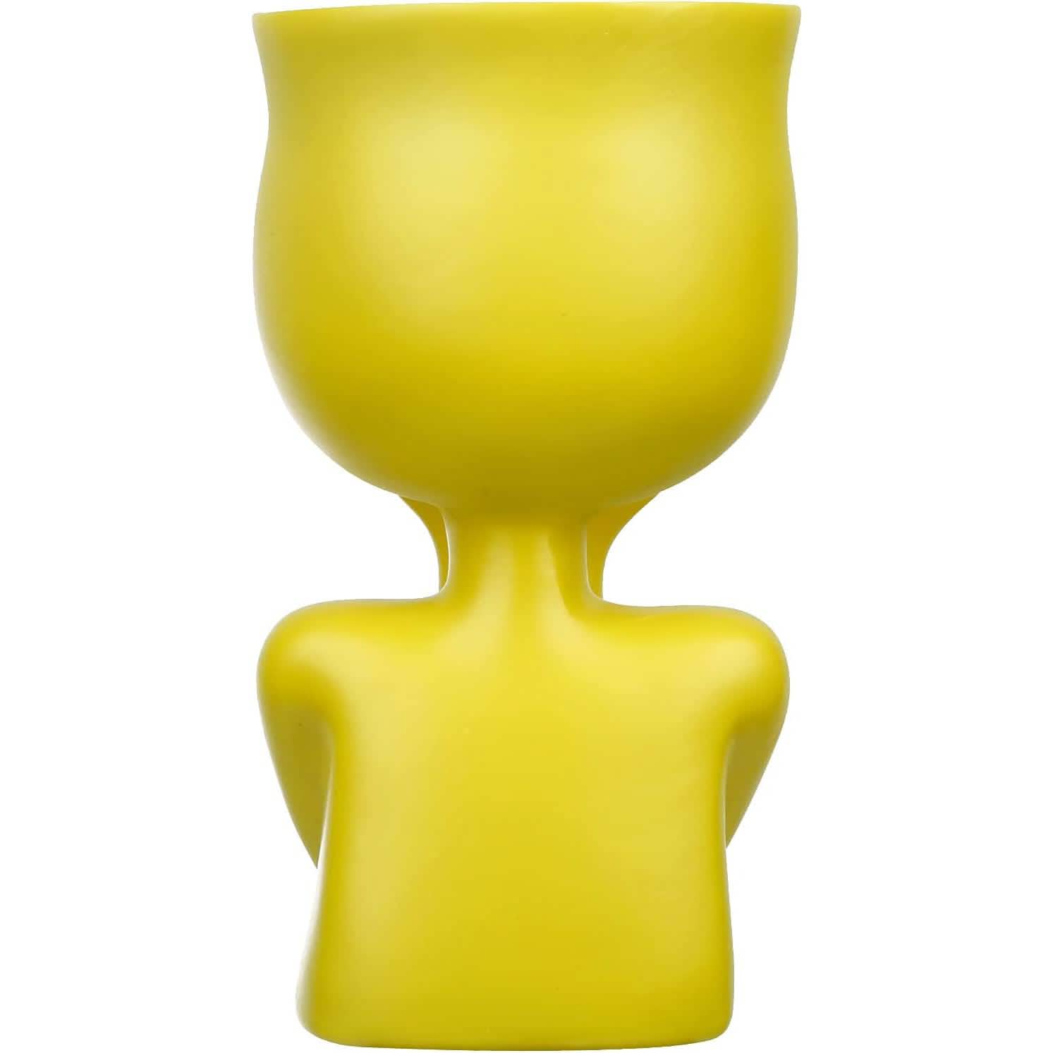 Face Flower Pot Head Planter DailySale