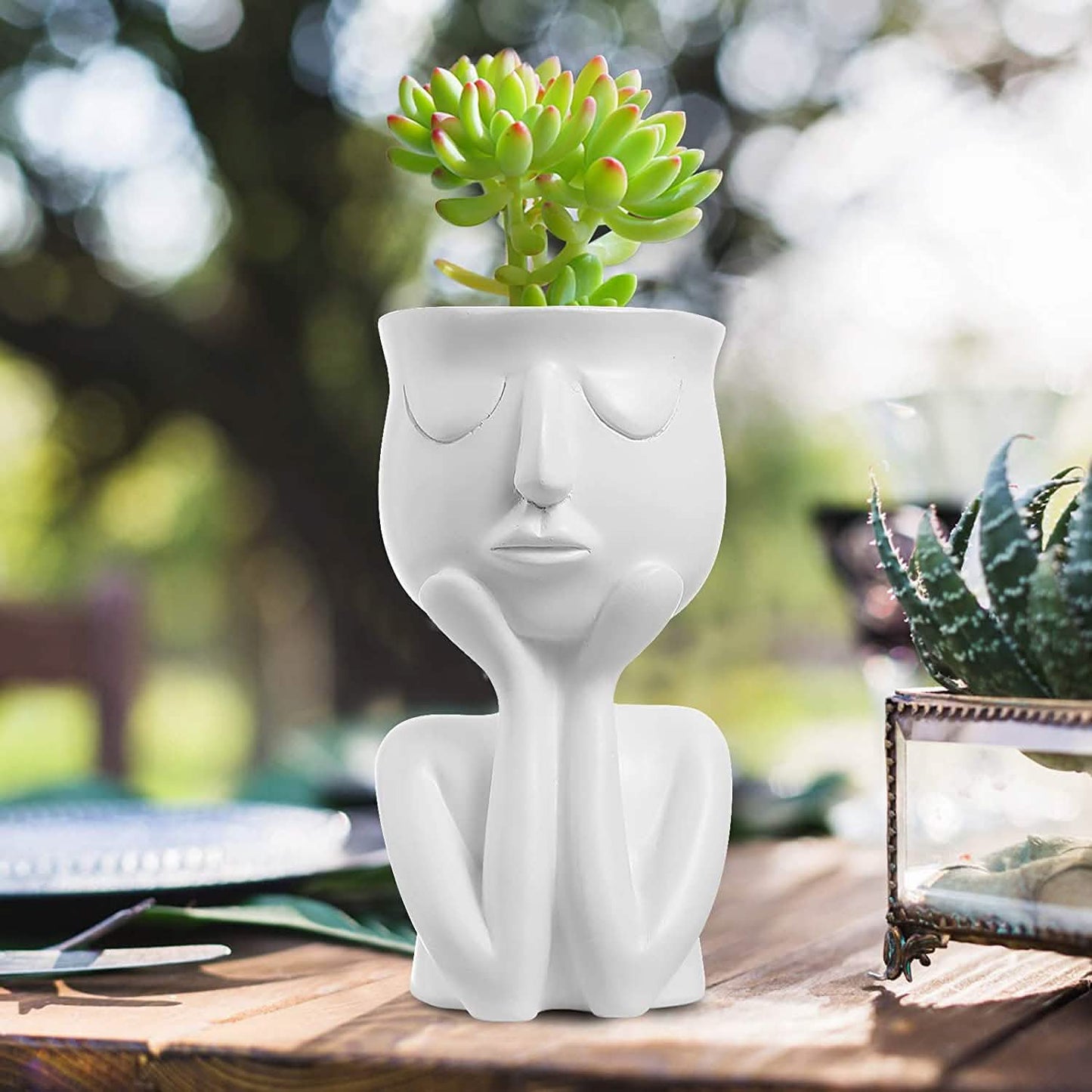 Face Flower Pot Head Planter DailySale