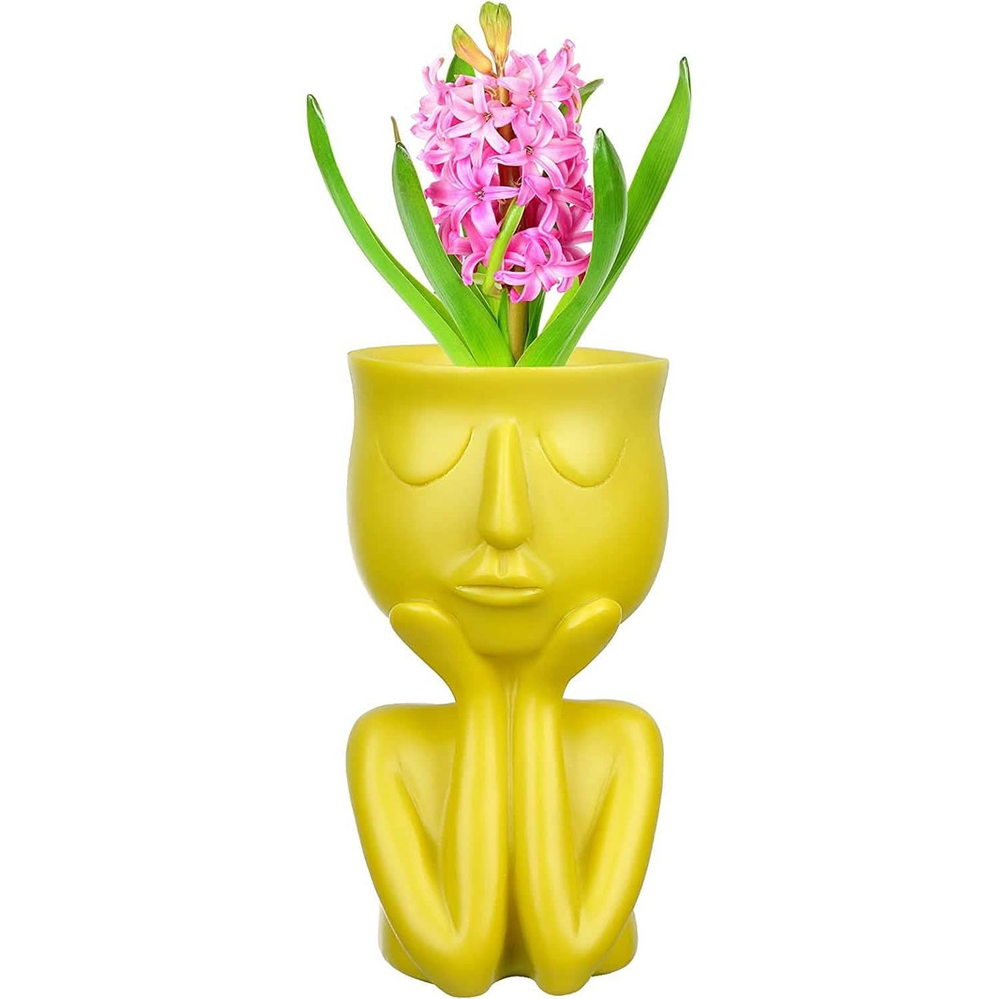 Face Flower Pot Head Planter DailySale