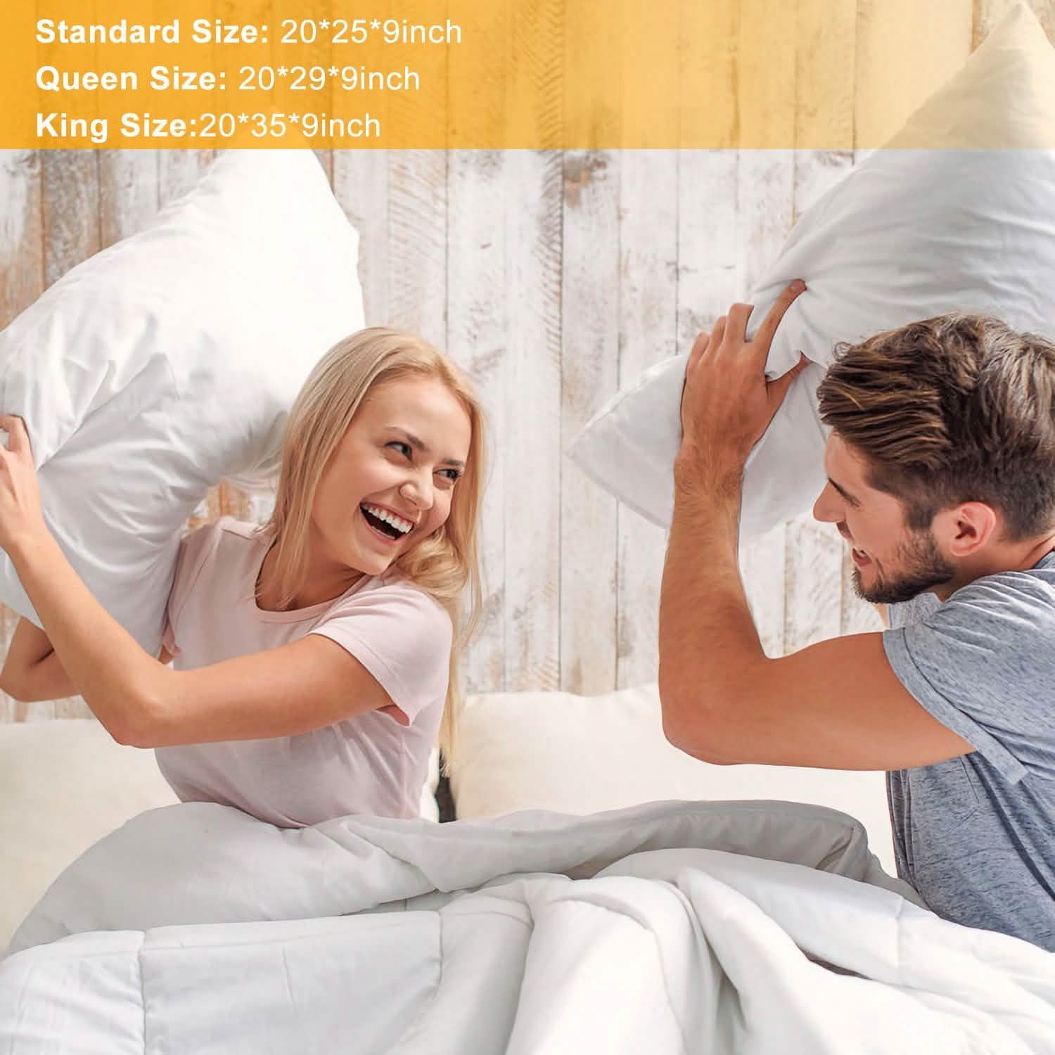 Fiber Filled Down Alternative Pillow DailySale