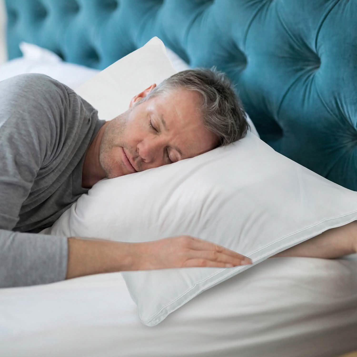 Fiber Filled Down Alternative Pillow DailySale