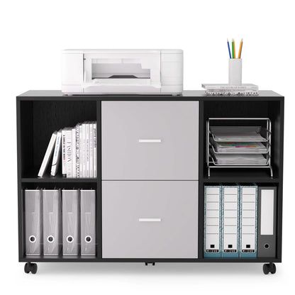 File Cabinet 2 Drawers Wooden Lateral Filling Cabinet DailySale