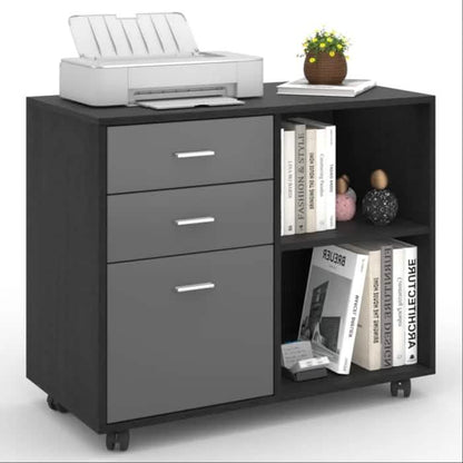 File Cabinet for Home Office DailySale
