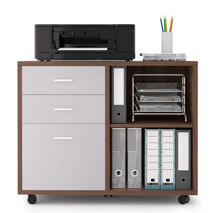File Cabinet for Home Office DailySale