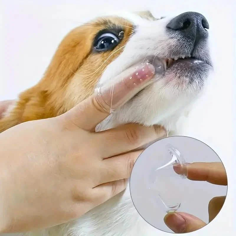 Finger Toothbrush For Dogs and Cats DailySale