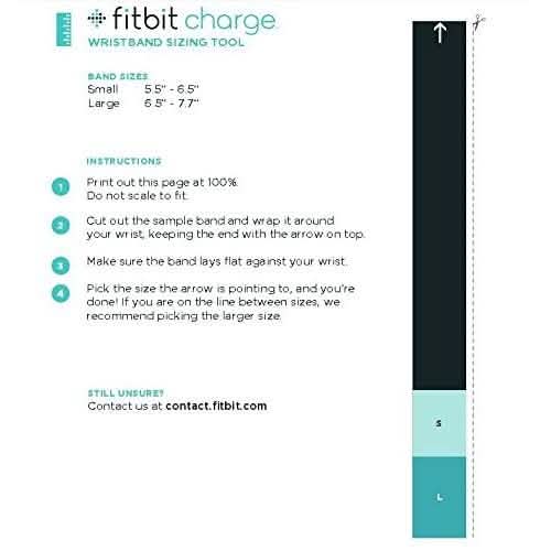 Fitbit Charge Wireless Activity Wristband - Assorted Sizes DailySale