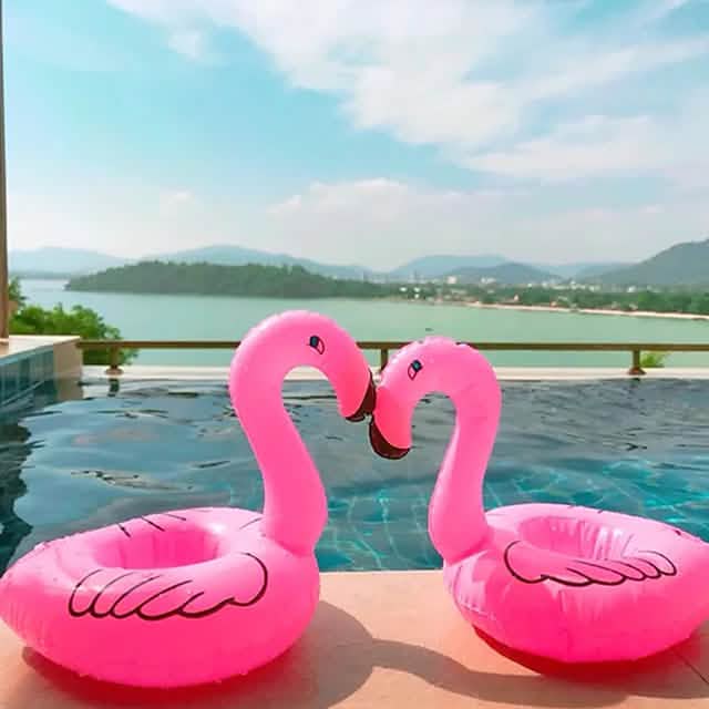 Flamingo Party Floating Sparkling Drink Cup DailySale