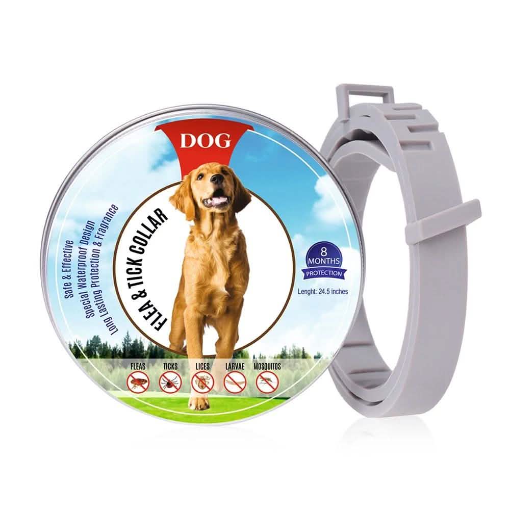 Flea Collar Dogs 8-month Flea and Tick Prevention for Dogs 3 Months of Age and Older DailySale