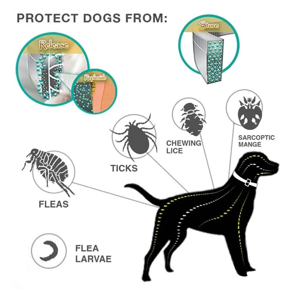 Flea Collar Dogs 8-month Flea and Tick Prevention for Dogs 3 Months of Age and Older DailySale
