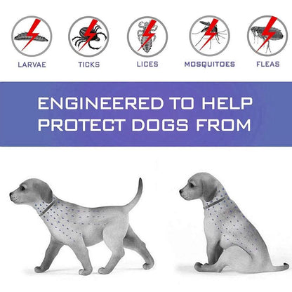 Flea Collar Dogs 8-month Flea and Tick Prevention for Dogs 3 Months of Age and Older DailySale