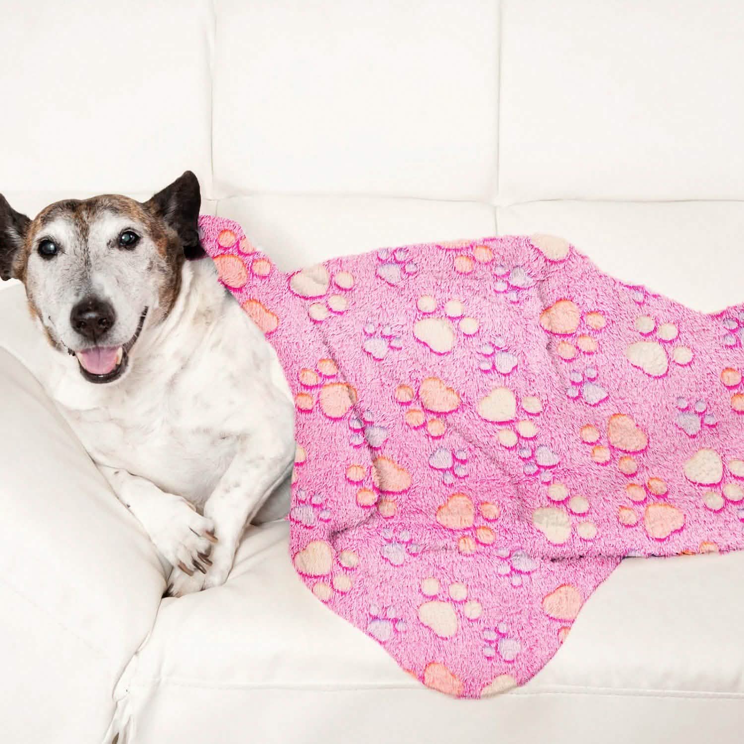 Fluffy Dog Cat Blanket DailySale