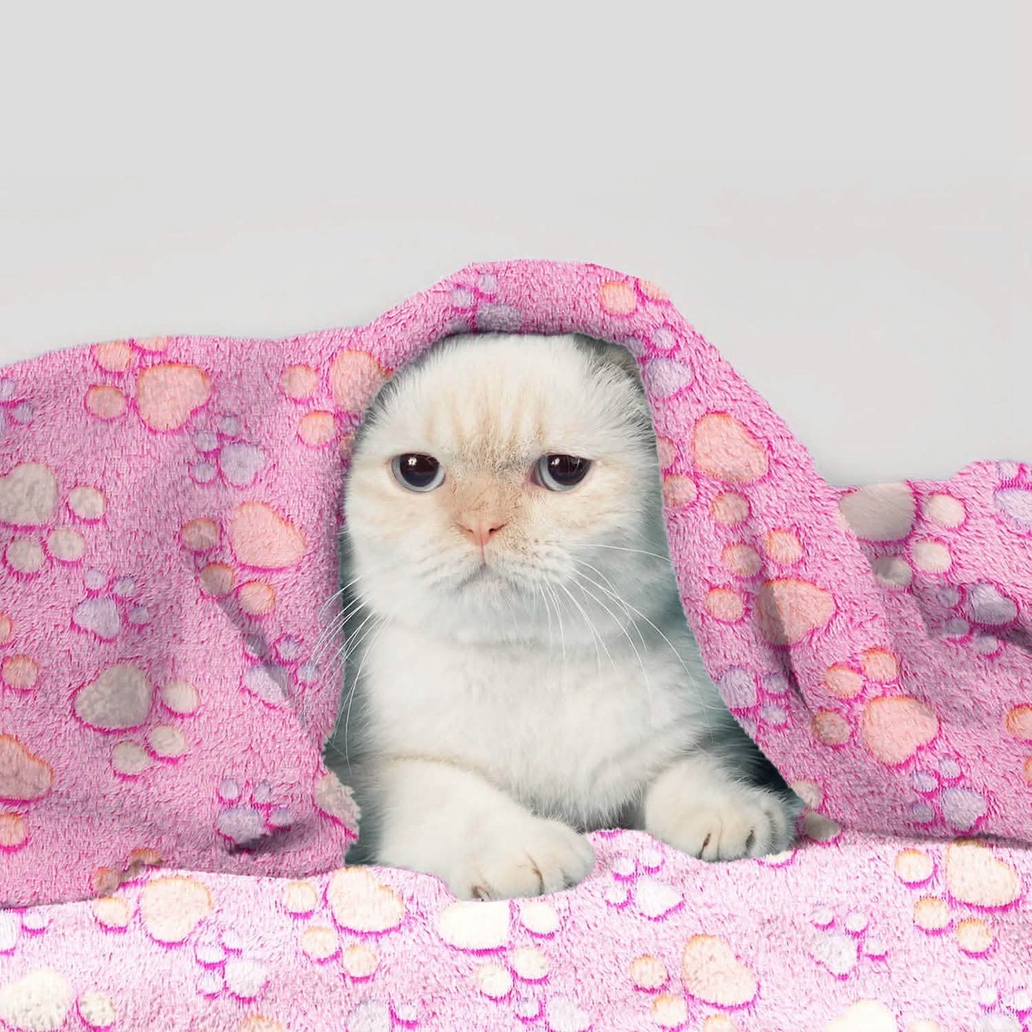 Fluffy Dog Cat Blanket DailySale