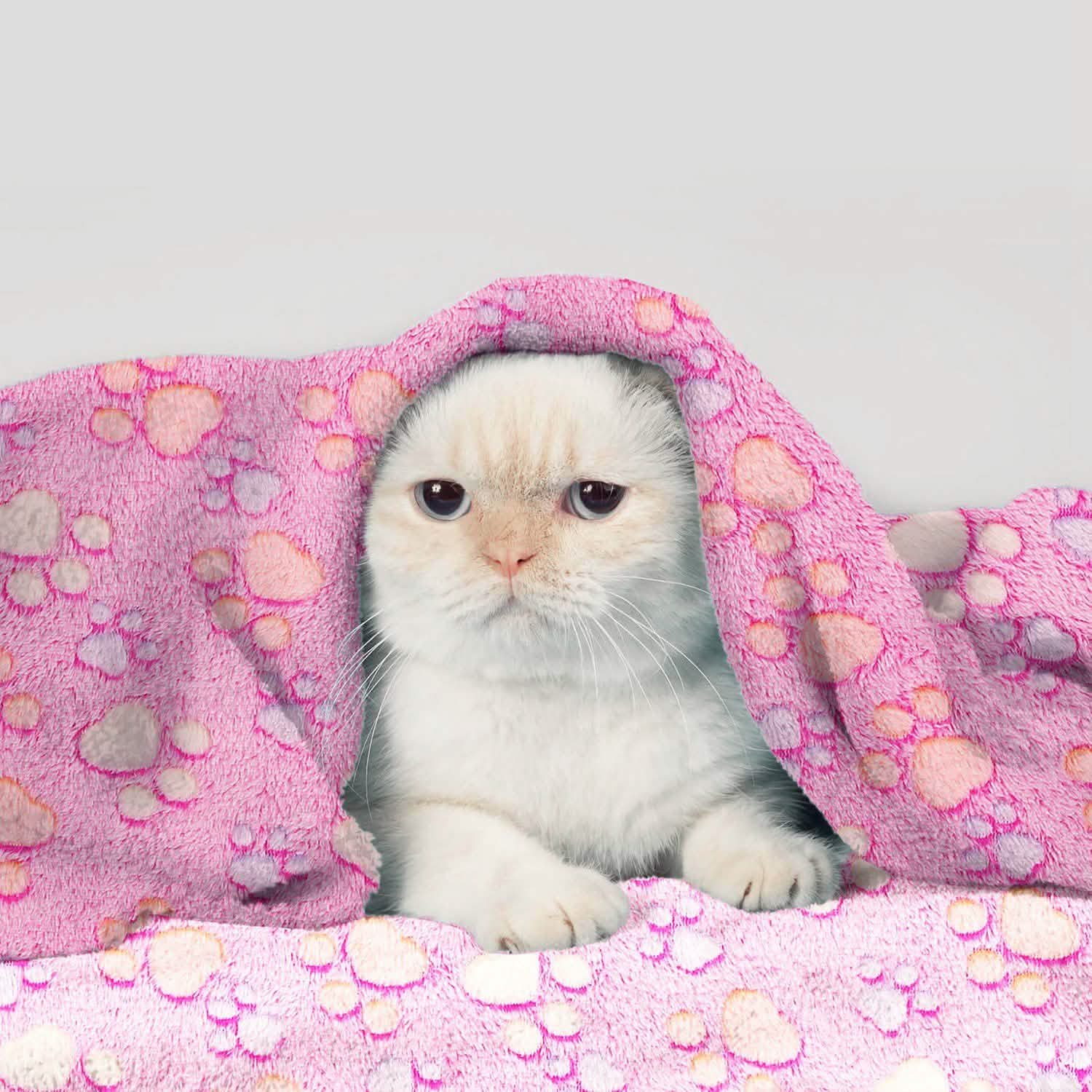 Fluffy Dog Cat Blanket DailySale