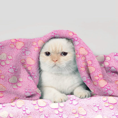 Fluffy Dog Cat Blanket DailySale