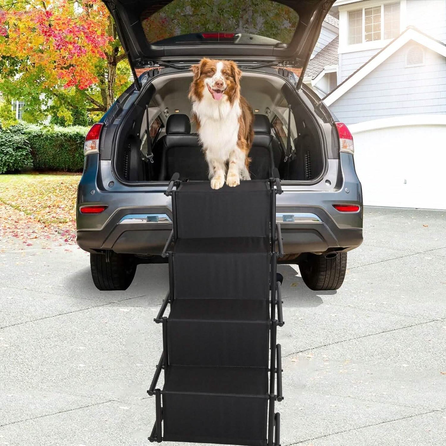 Foldable Dog Ramp 4 Step Collapsible Non Slip Stairs DailySale