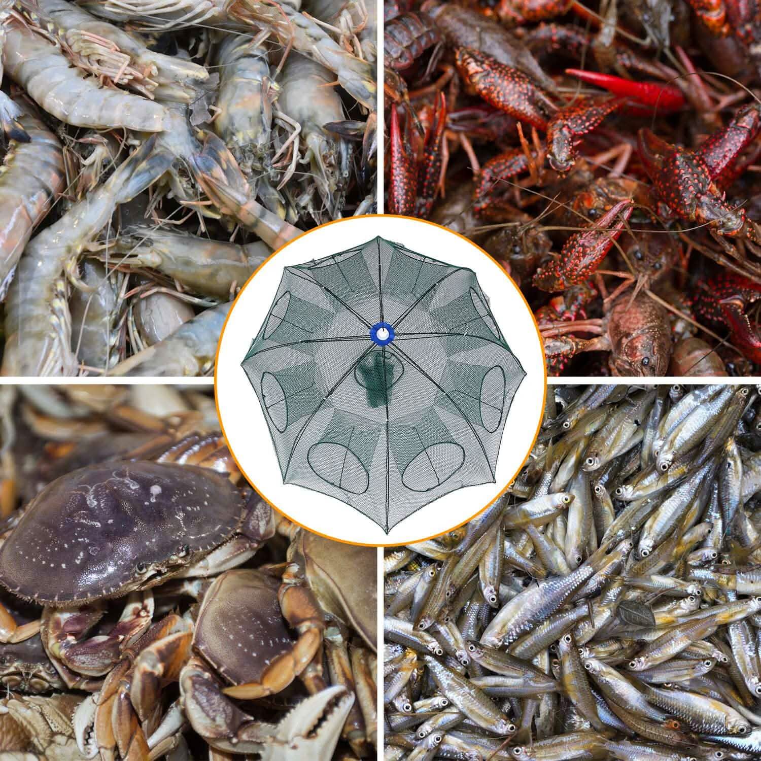 Foldable Fishing Bait Net Trap DailySale