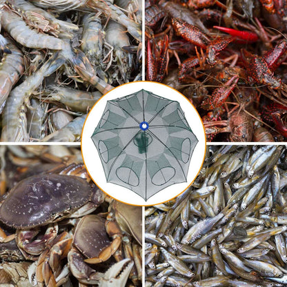 Foldable Fishing Bait Net Trap DailySale