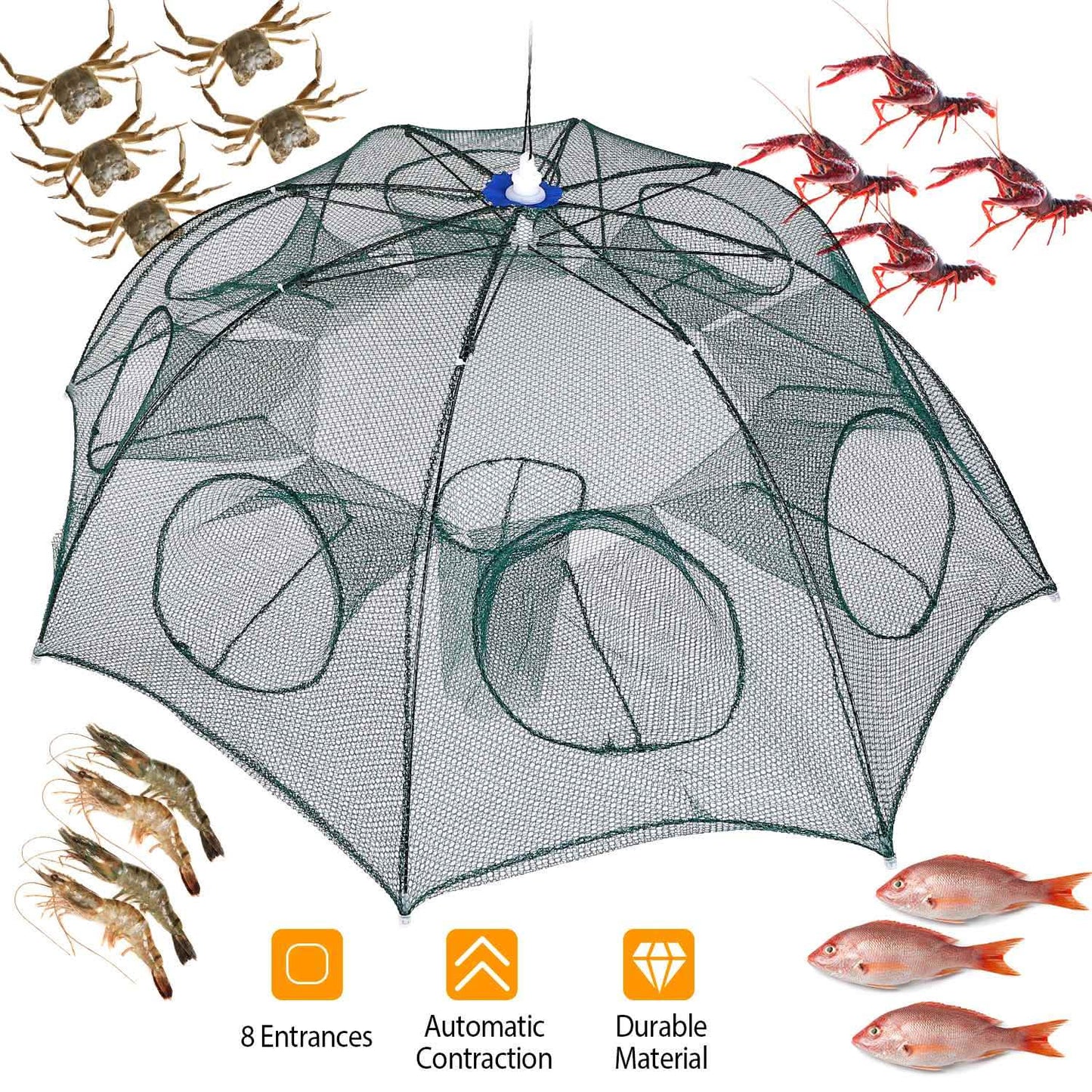 Foldable Fishing Bait Net Trap DailySale
