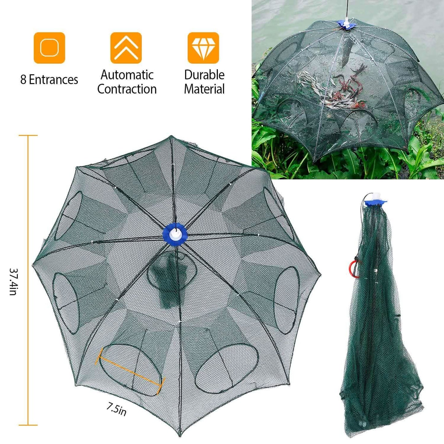 Foldable Fishing Bait Net Trap DailySale