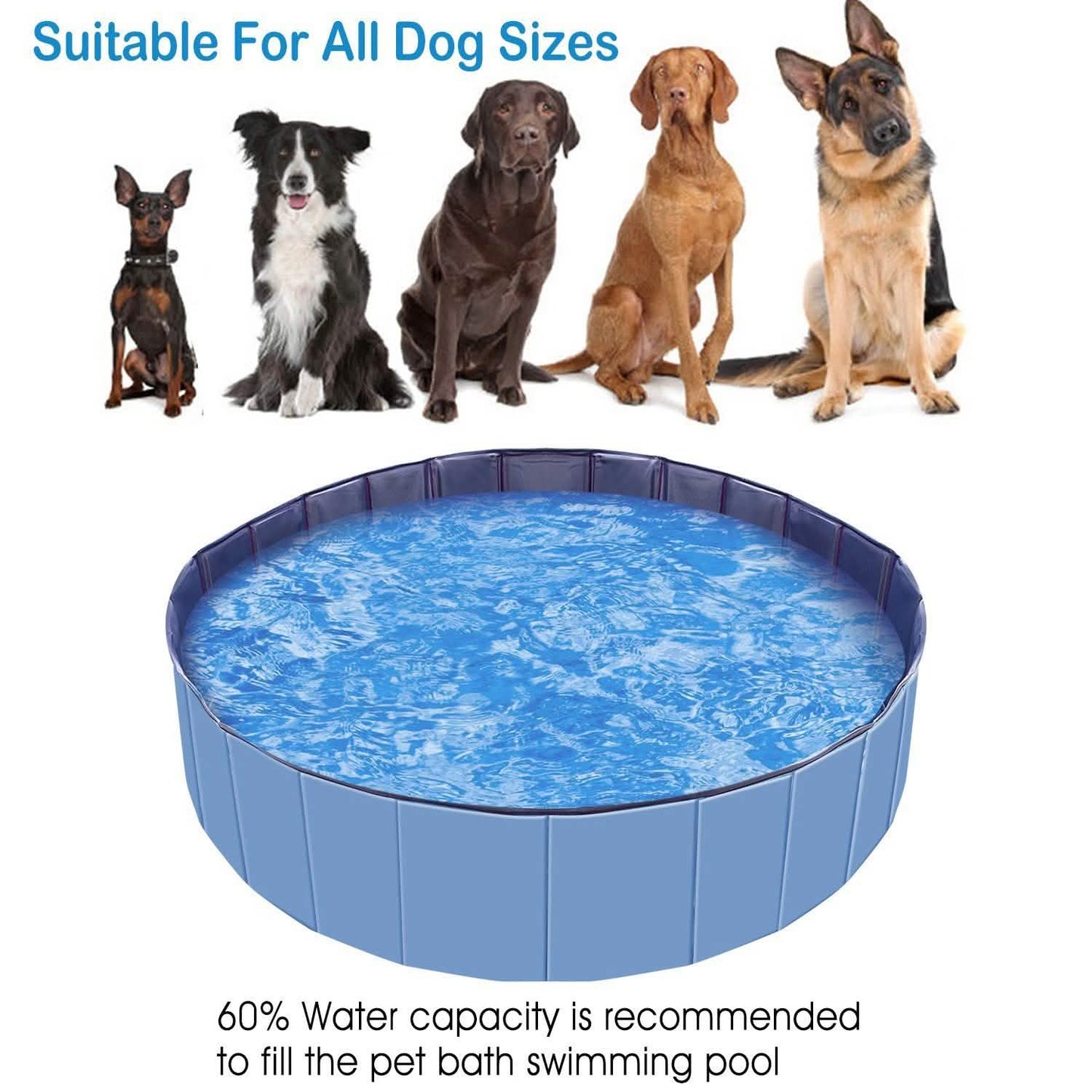 Foldable Pet Swimming Pool PVC DailySale