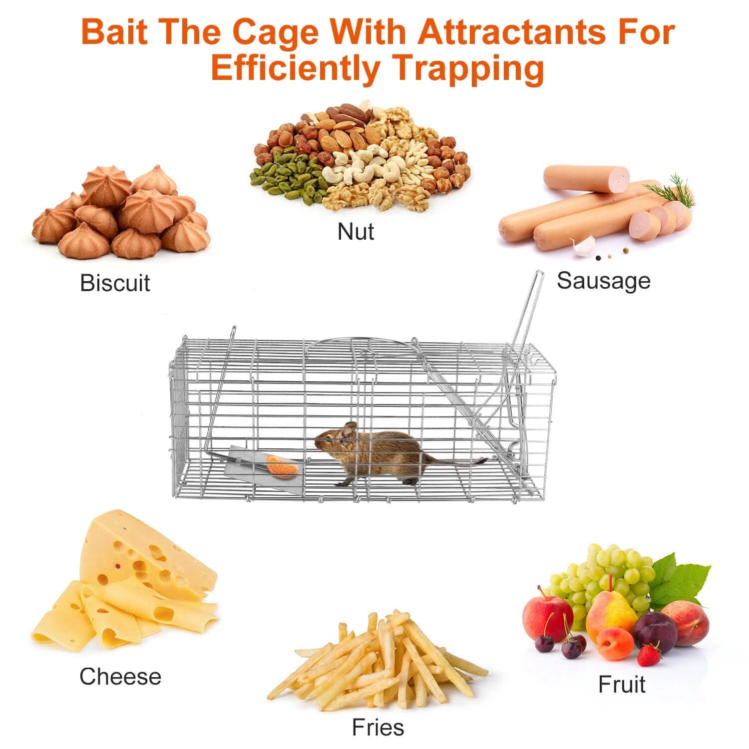 Foldable Rat Trap Cage Humane Live Rodent Trap Cage DailySale