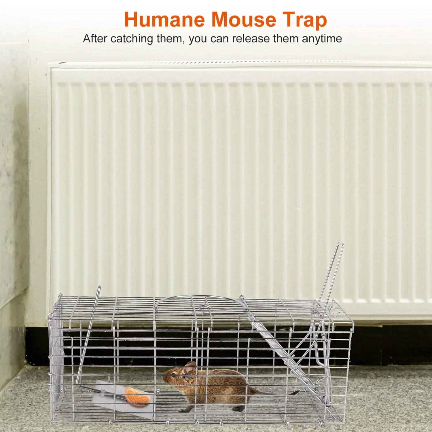 Foldable Rat Trap Cage Humane Live Rodent Trap Cage DailySale