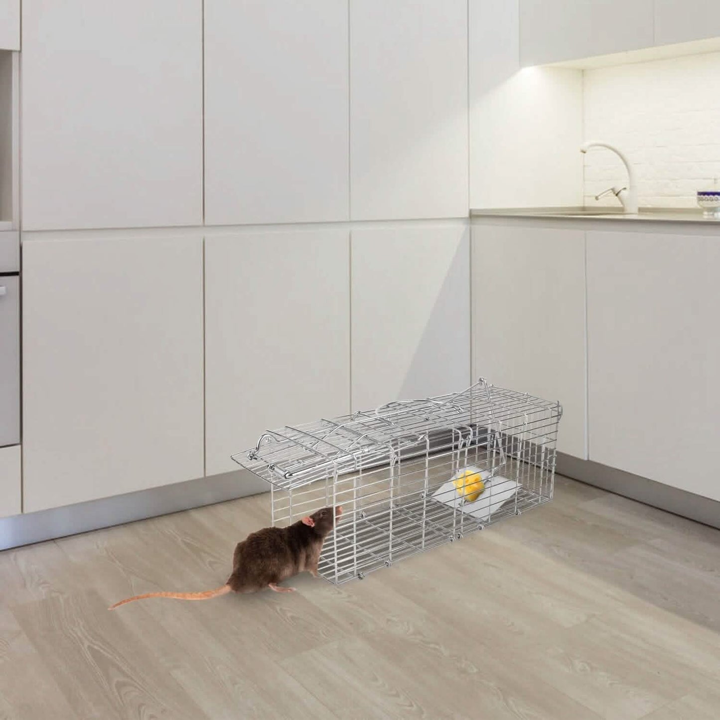 Foldable Rat Trap Cage Humane Live Rodent Trap Cage DailySale