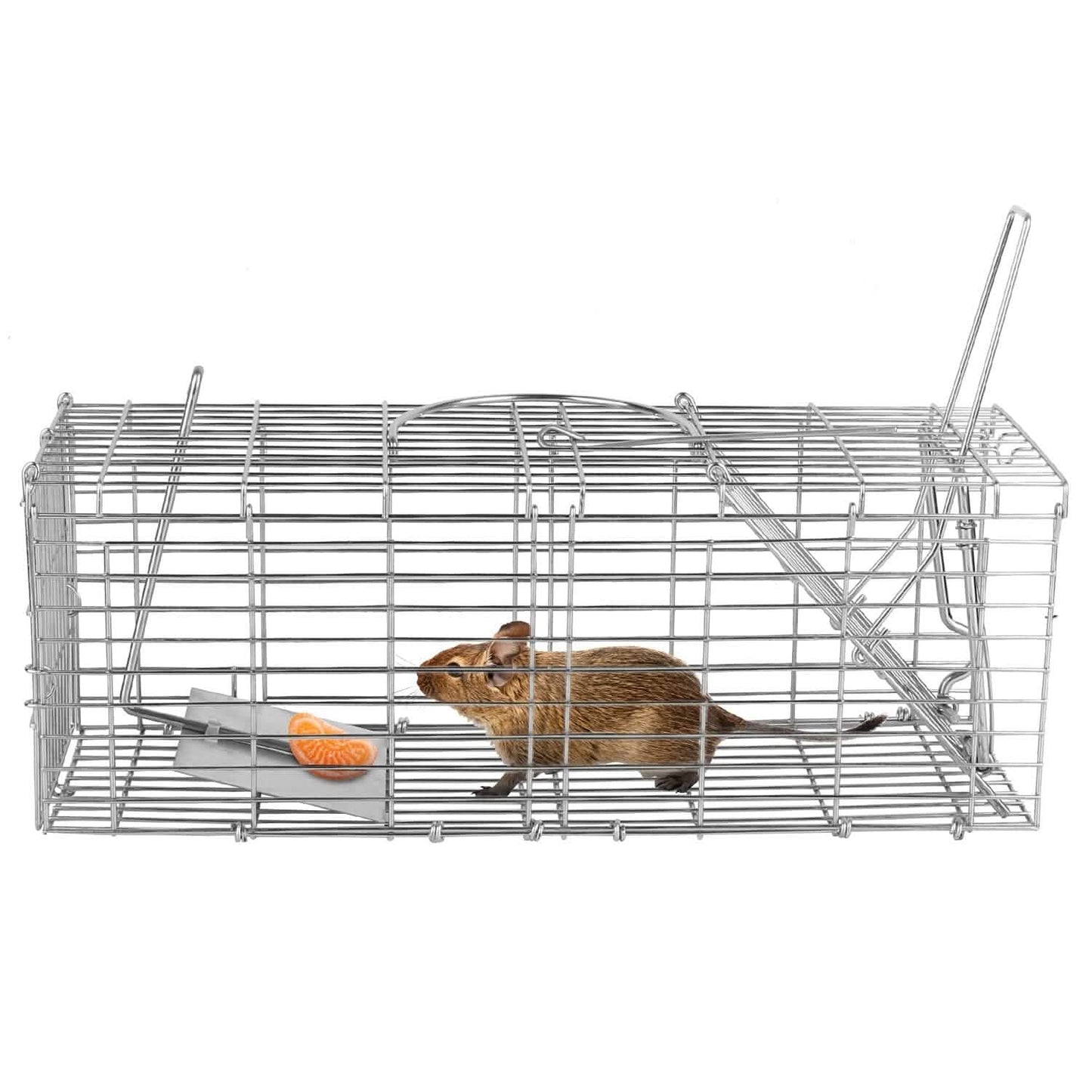 Foldable Rat Trap Cage Humane Live Rodent Trap Cage DailySale