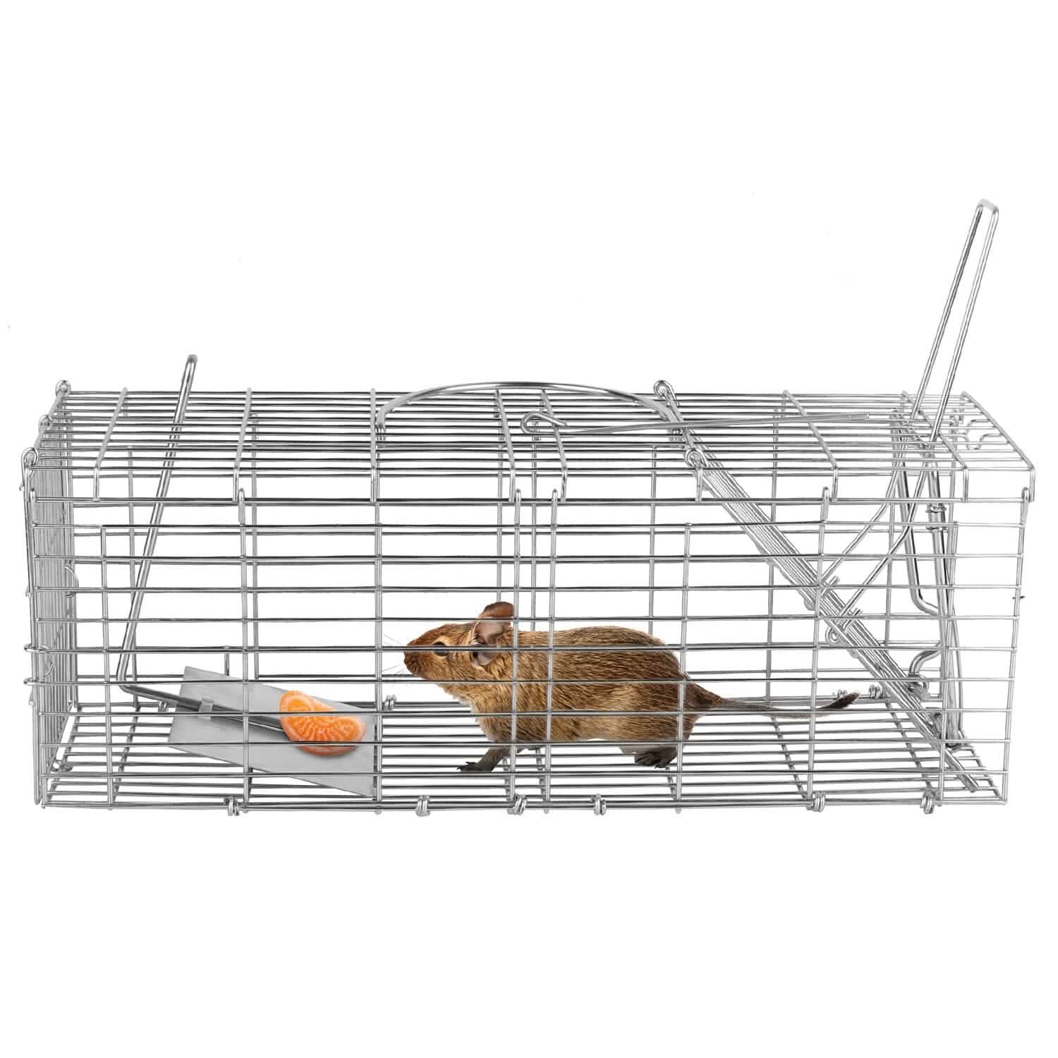 Foldable Rat Trap Cage Humane Live Rodent Trap Cage DailySale