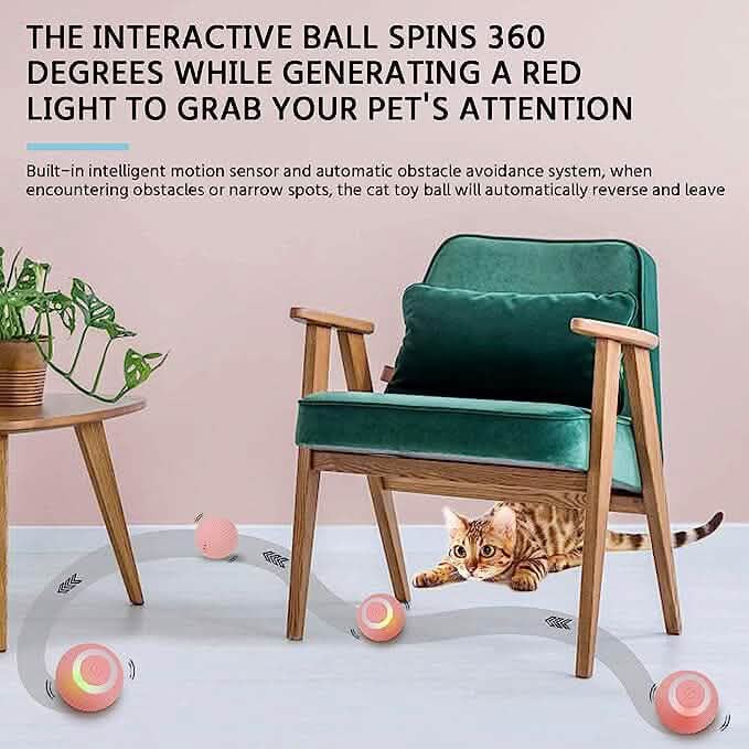 Found Notice Smart Interactive Cat Toy DailySale