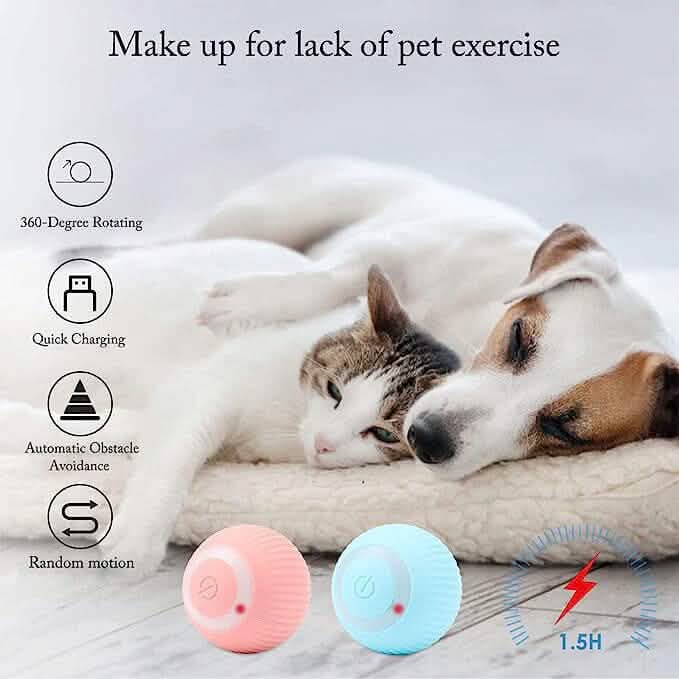 Found Notice Smart Interactive Cat Toy DailySale