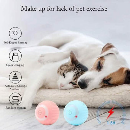 Found Notice Smart Interactive Cat Toy DailySale