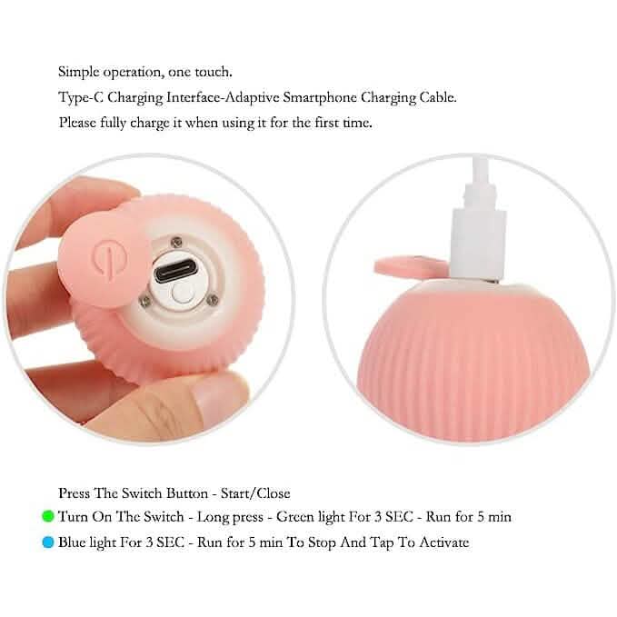 Found Notice Smart Interactive Cat Toy DailySale