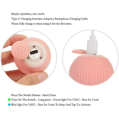 Found Notice Smart Interactive Cat Toy DailySale