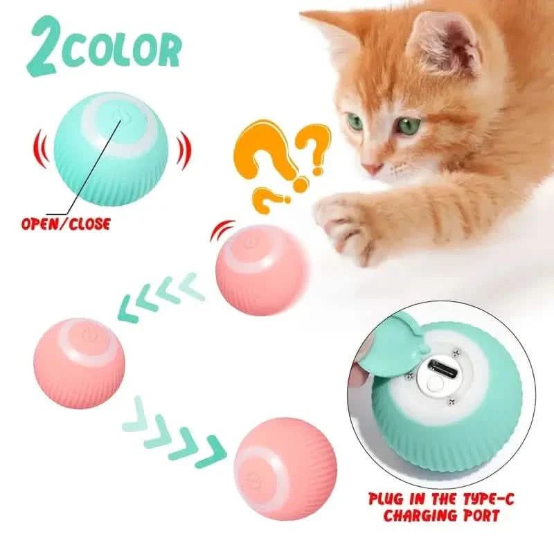 Found Notice Smart Interactive Cat Toy DailySale