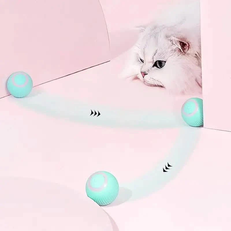 Found Notice Smart Interactive Cat Toy DailySale