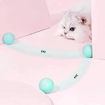 Found Notice Smart Interactive Cat Toy DailySale