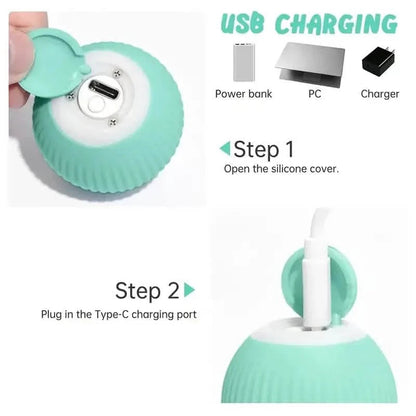 Found Notice Smart Interactive Cat Toy DailySale