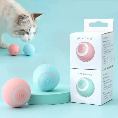 Found Notice Smart Interactive Cat Toy DailySale