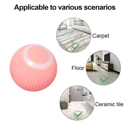 Found Notice Smart Interactive Cat Toy DailySale