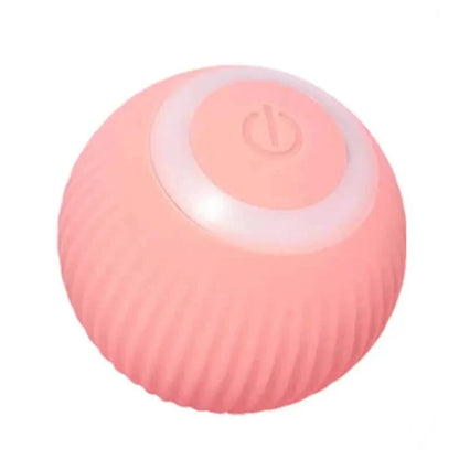 Found Notice Smart Interactive Cat Toy DailySale