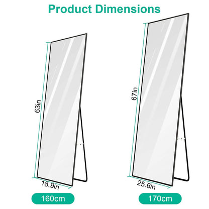 Full Length Mirror Aluminum Alloy Wall Mirror Free Standing Floor DailySale