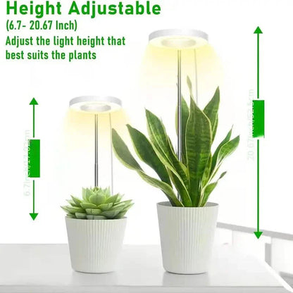 Full Spectrum LED Halo Plant Light With Stand Height Adjustable Auto Timer DailySale