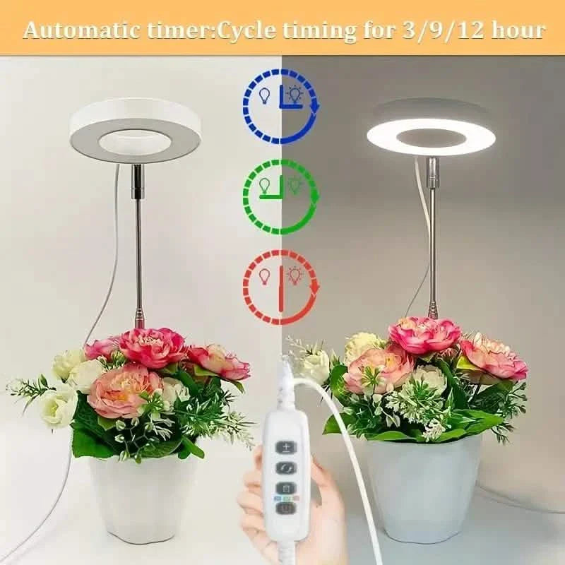Full Spectrum LED Halo Plant Light With Stand Height Adjustable Auto Timer DailySale