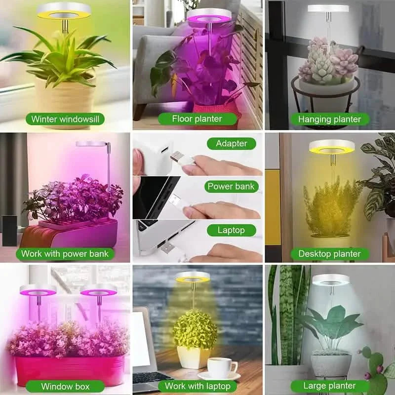 Full Spectrum LED Halo Plant Light With Stand Height Adjustable Auto Timer DailySale