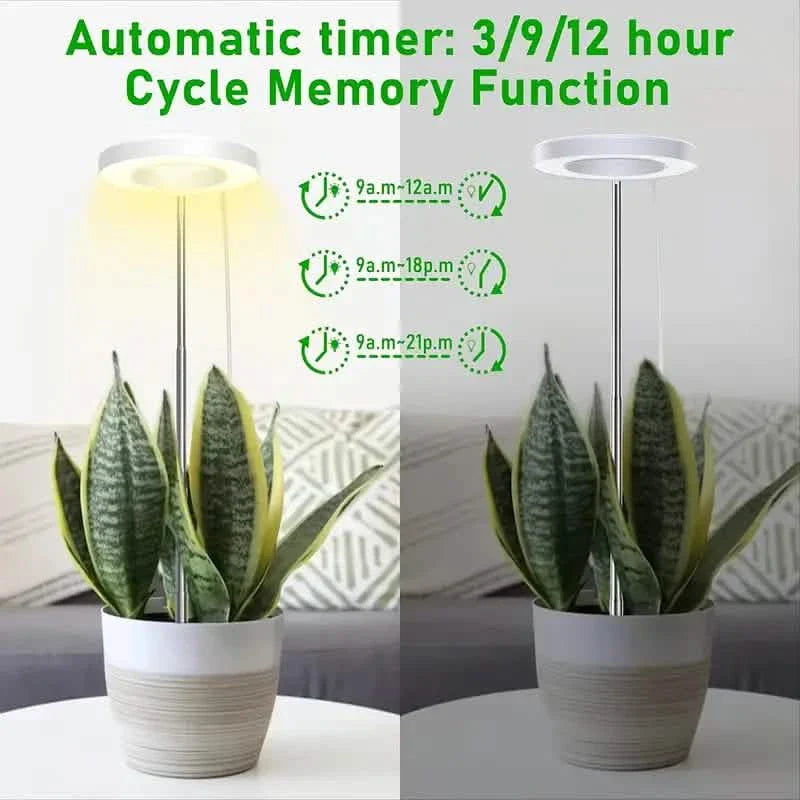 Full Spectrum LED Halo Plant Light With Stand Height Adjustable Auto Timer DailySale
