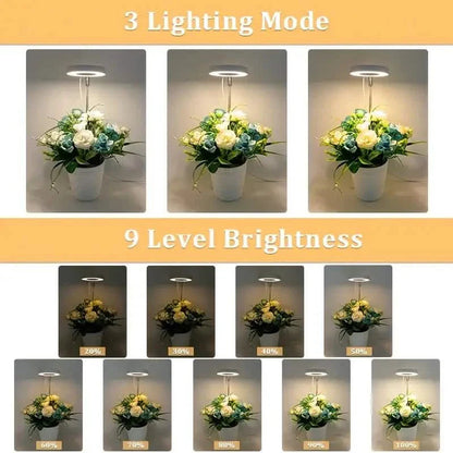 Full Spectrum LED Halo Plant Light With Stand Height Adjustable Auto Timer DailySale